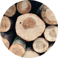 trueberryless's avatar